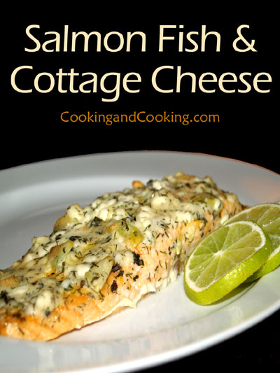 Salmon Fish with Cottage Cheese